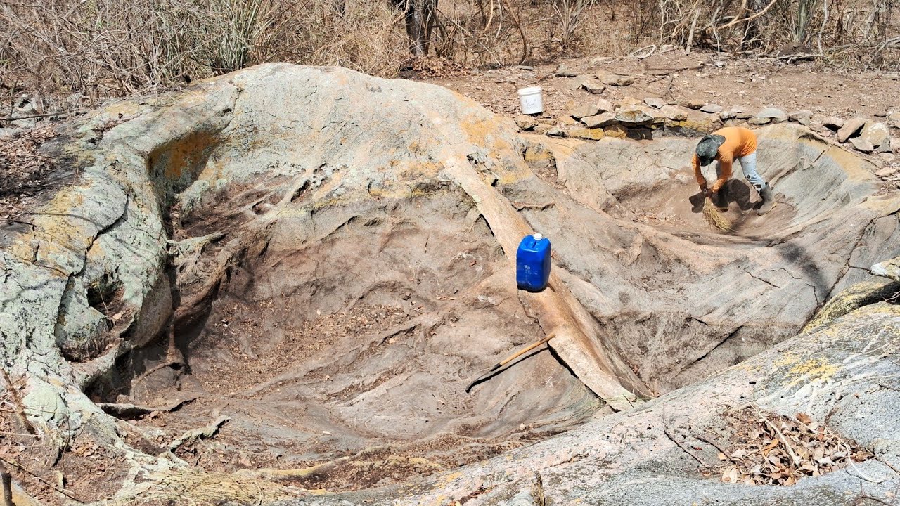 MEL E ZÉ BOTARAM ÁGUA NO TANQUE PARA AS AVES DA MATA NA CAATINGA