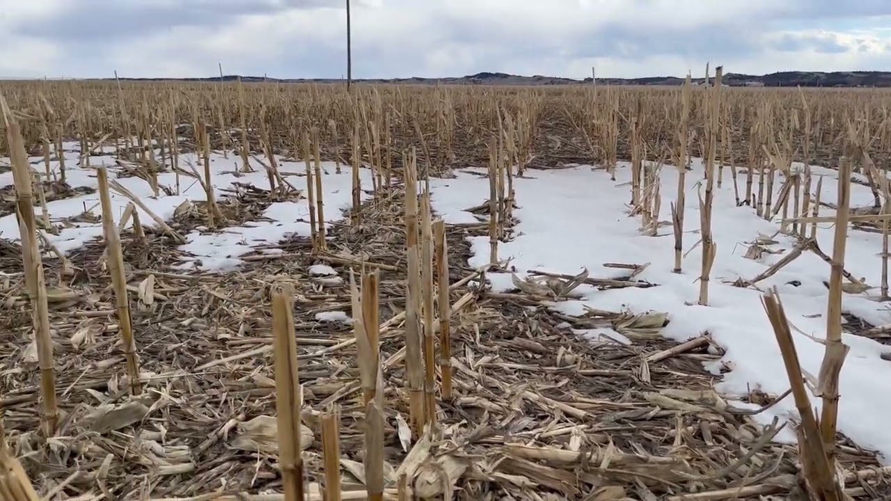 Crop Residue Management