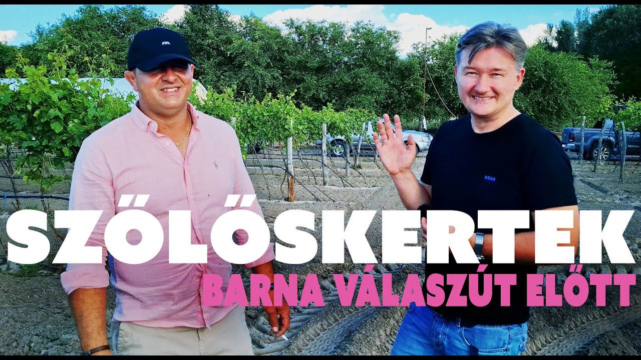 🍇 SZŐLŐSKERTEK 3/01.rész  ► BARNA VÁLASZÚT ELŐTT