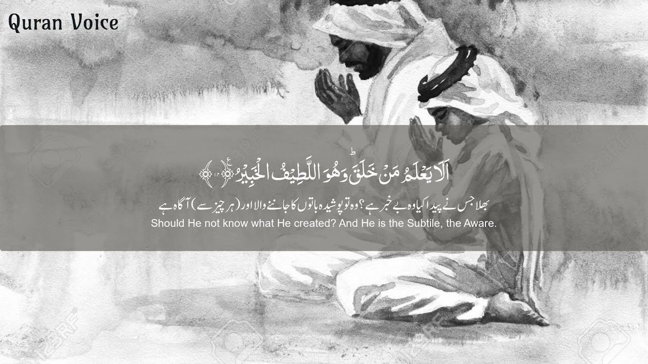 Surah Al Mulk سورة الملك - Hothaifa Kaeed حذيفة الكعيد - Quran Voice