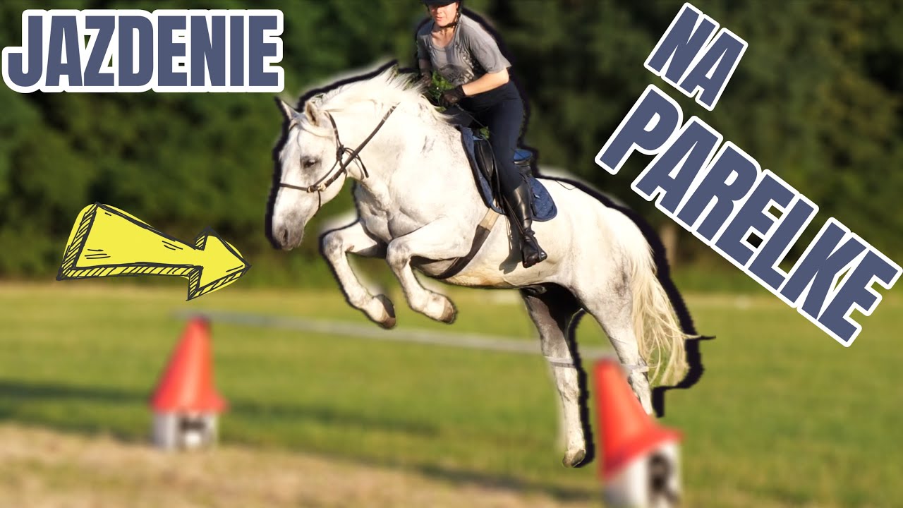 Jazdenie 🐴 na Parelliho ohlávke 🤠 na parelke | jazdenie - jízda na koni | videa o koňoch - koních