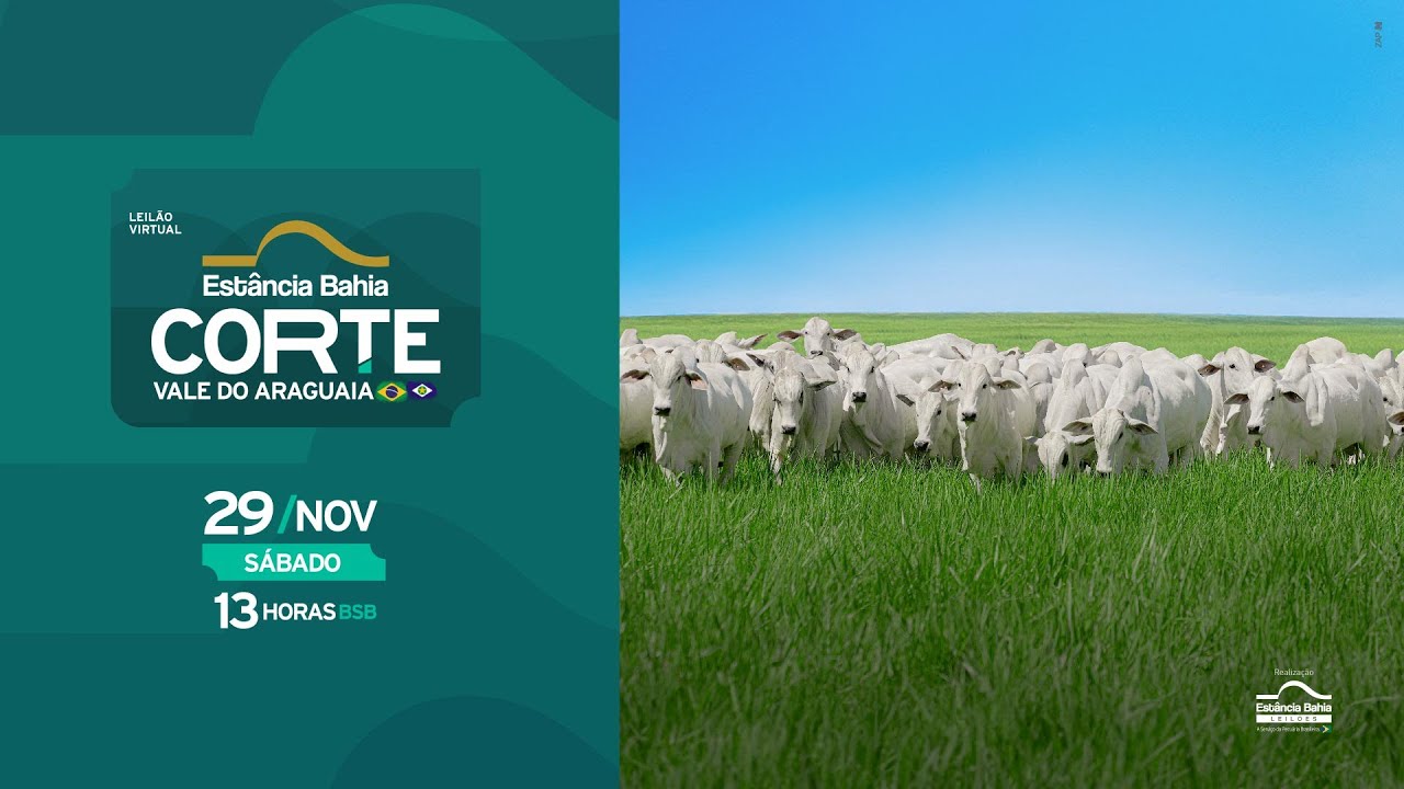 29/11 -  LEILÃO VIRTUAL ESTÂNCIA BAHIA CORTE ARAGUAIA