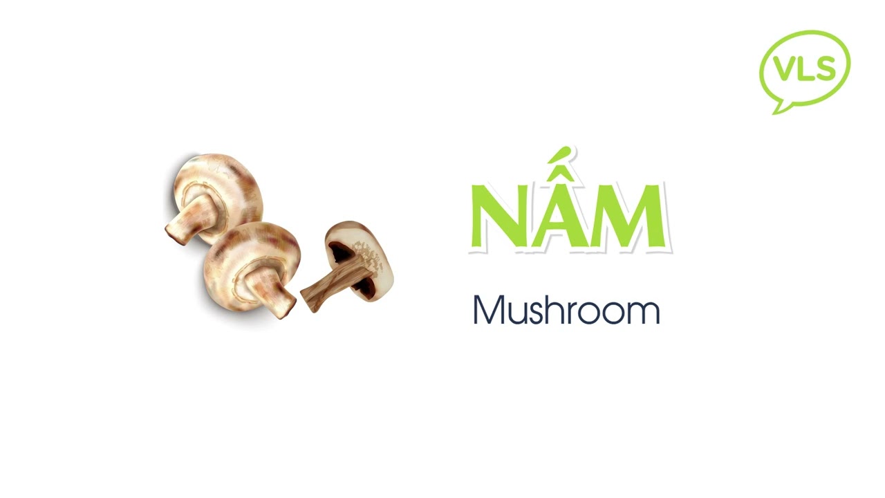 Daily Vietnamese Pronunciation: 