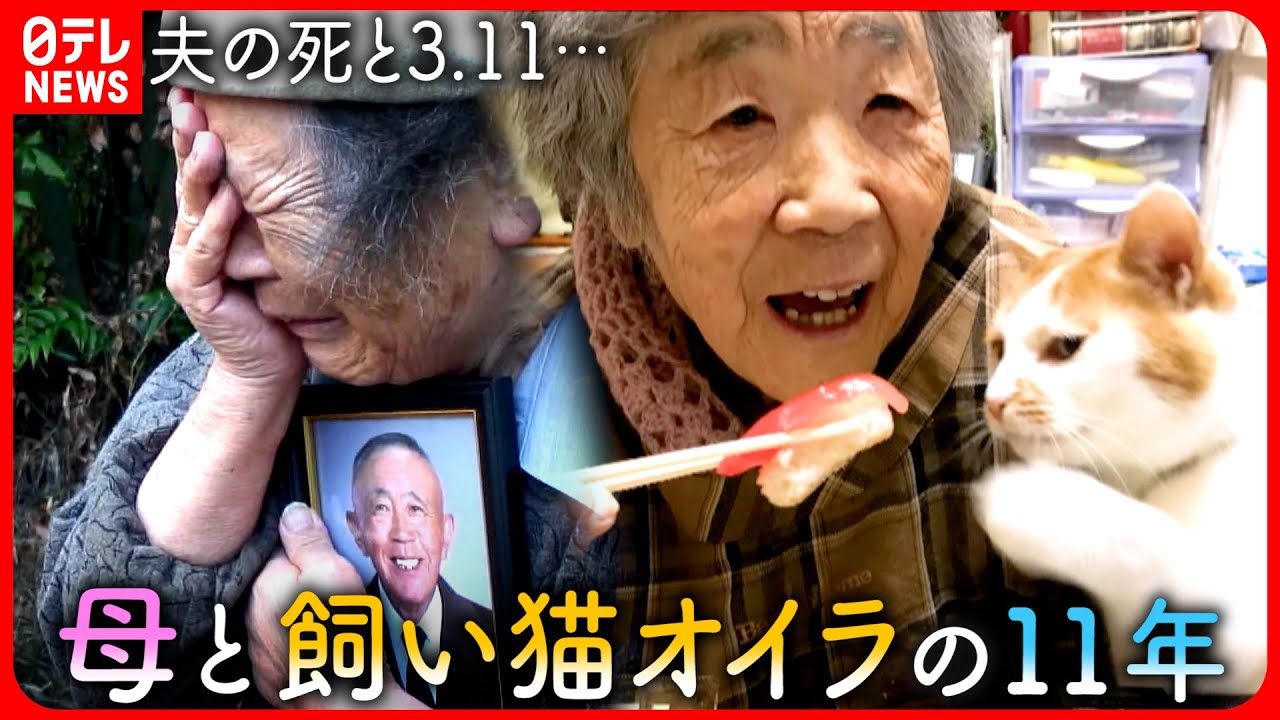 【息子が記録】夫と家を失い…「生きてやろうじゃないの！」母と飼い猫オイラの震災日記