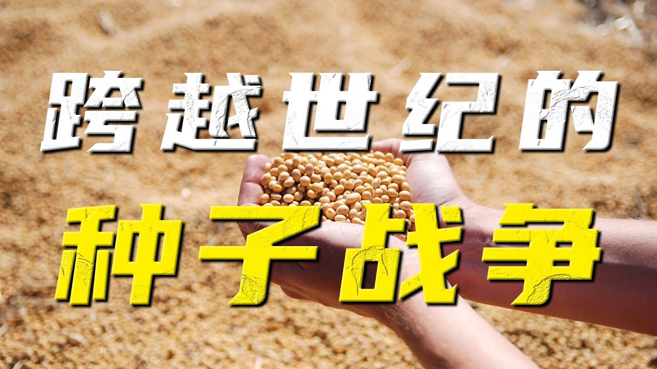 没有一粒种子属于中国？揭秘一场悄无声息的种业战争。