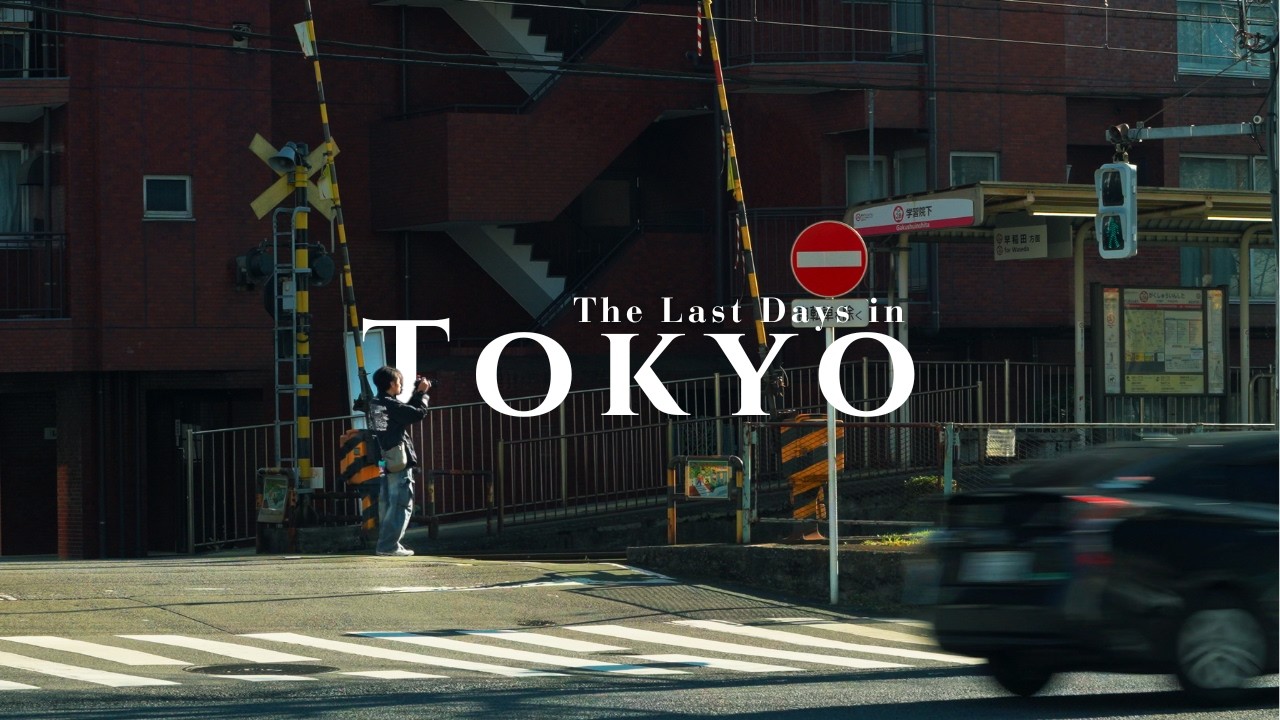 The Last Few Days of a Man in Tokyo (2025)  | Meiji Jingu, Shinjuku, Yaesu, Marunouchi | Vlog