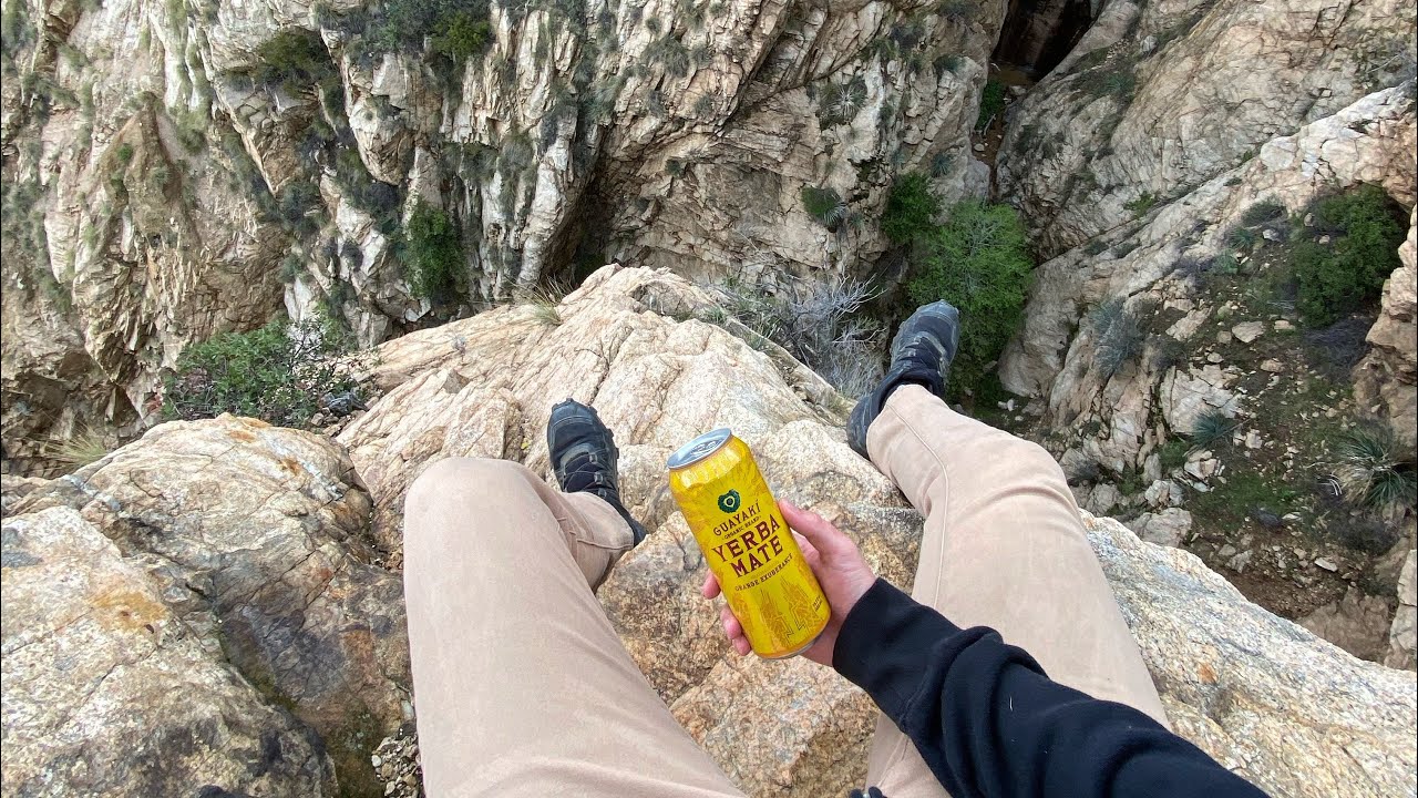 Guayaki Yerba Mate Review!