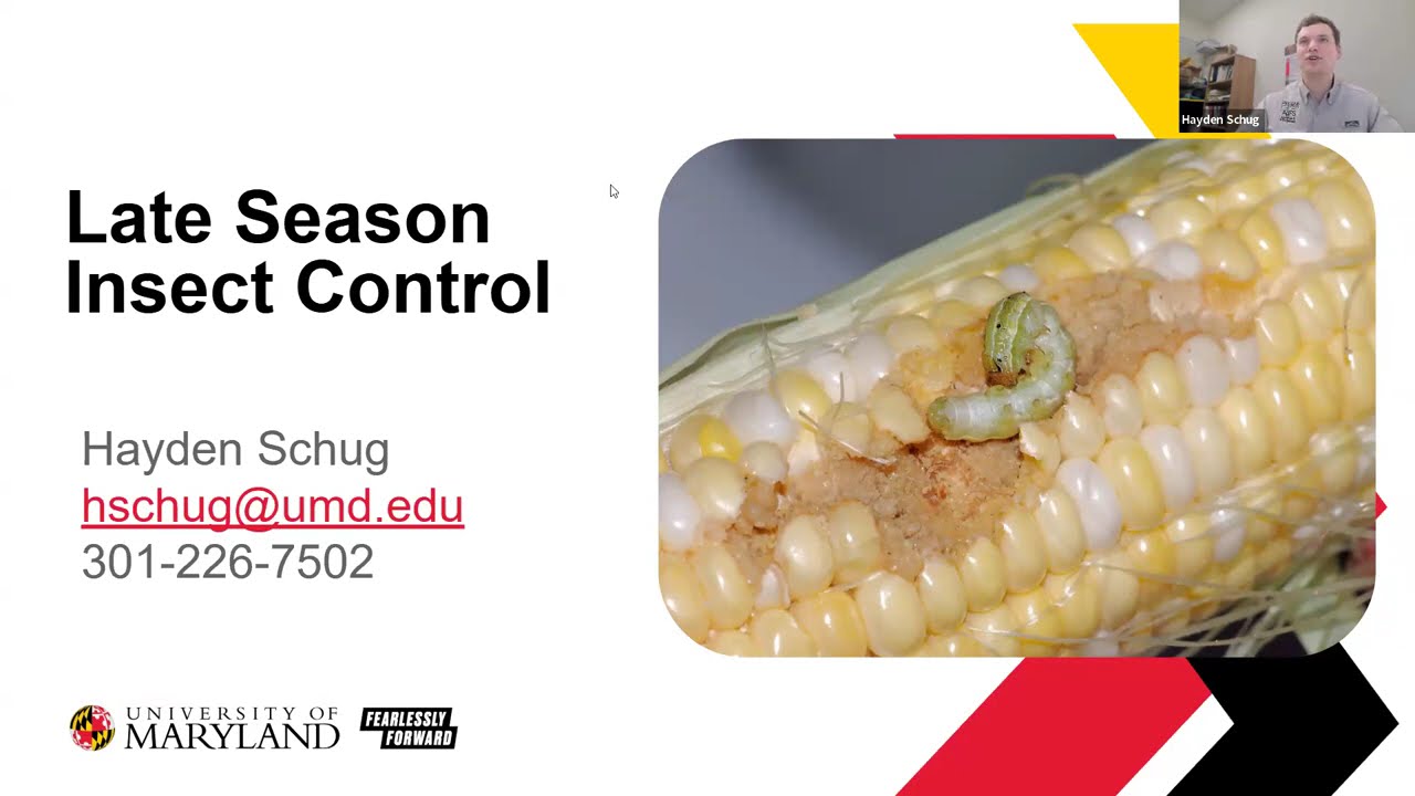 Late-season Insect Control With Hayden Schug