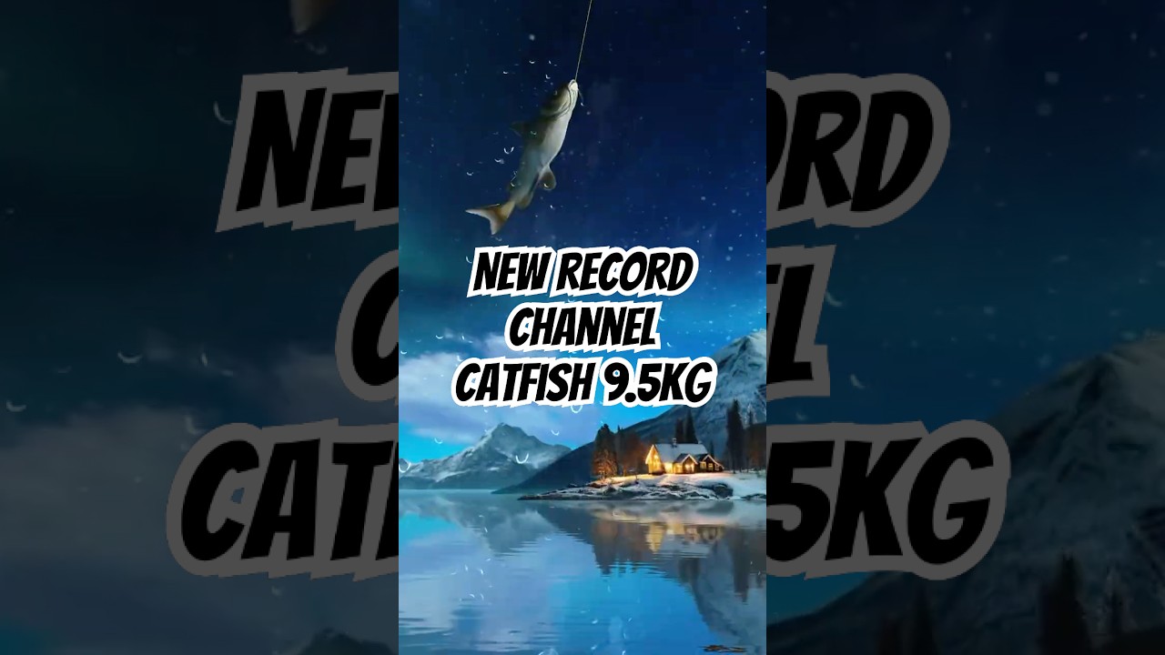 🎣 NEW RECORD! Channel Catfish 9.5KG | Relax Fishing Game 