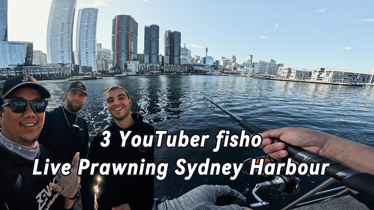 Let’s hunt Sydney Harbour Kingfish!