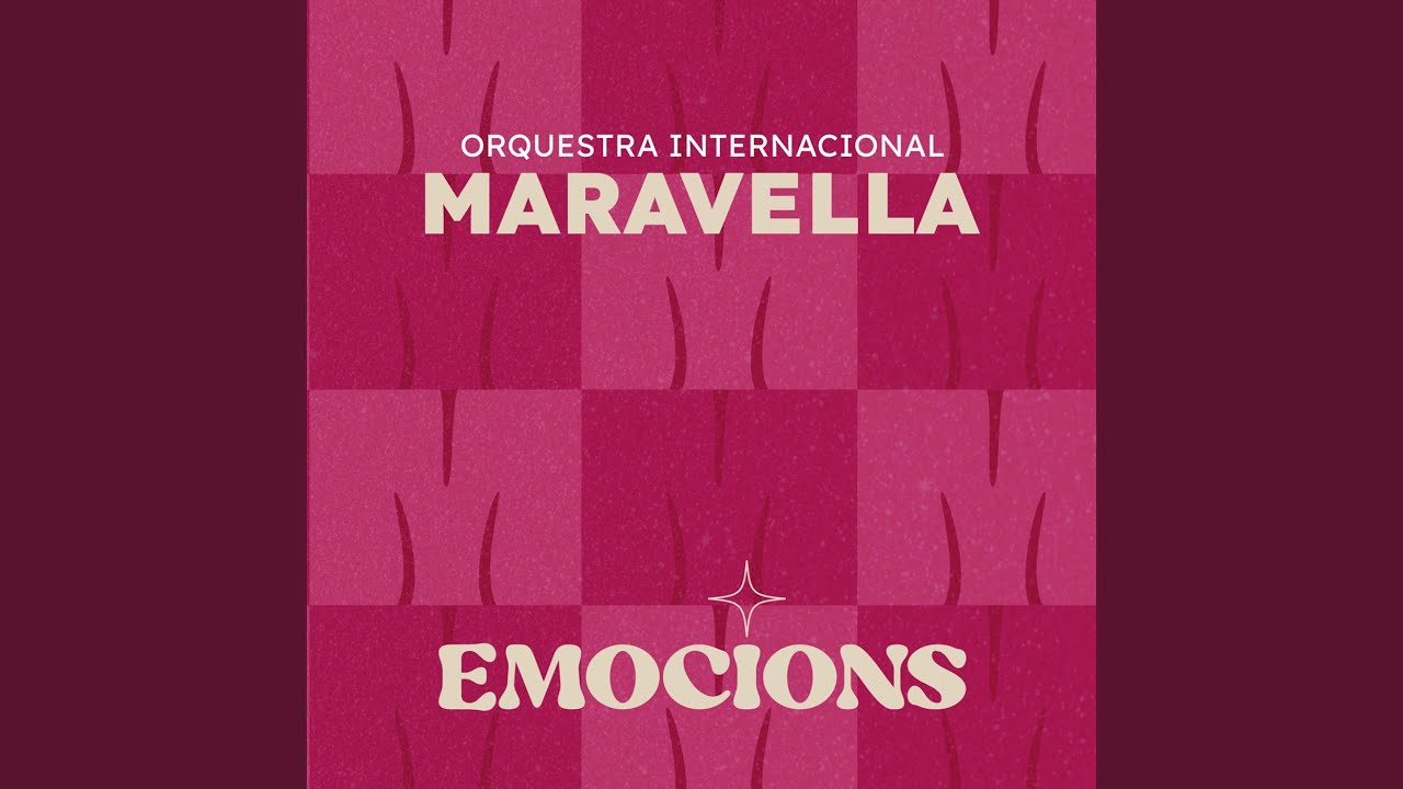 Sardanes Mix 2 (Les fulles seques /Somni / Per tu ploro / Les Sardanes / A la plaç hi han...