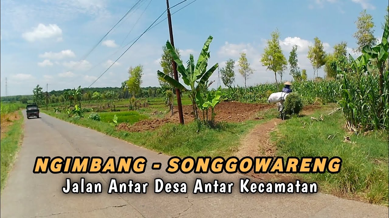 SEPERTI INI KONDISI JALAN ANTAR DESA DI LAMONGAN SELATAN ‼️