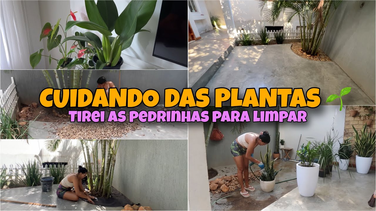 TIVE QUE TIRAR AS PLANTAS | LIMPEI AS PEDRINHAS | PLANTA NOVA | CUIDANDO DO JARDIM # LidyAlmeida