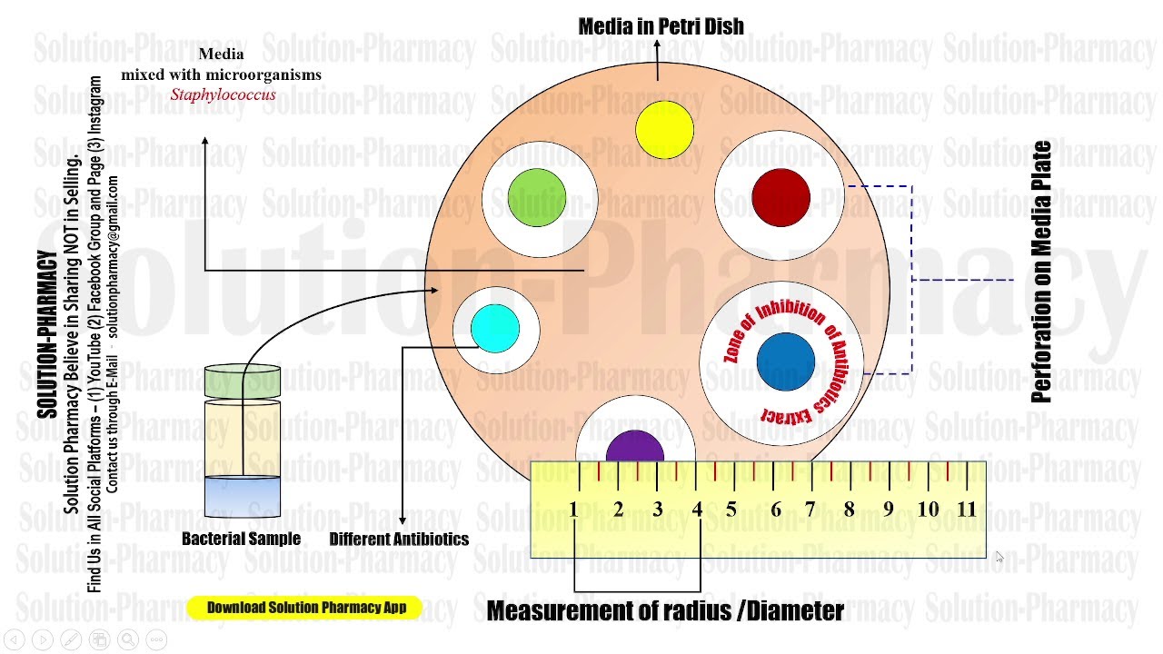 Microbiology 115= Microbiological Assay of Antibiotics | Cup Plate Method | Cylindrical Plate Method