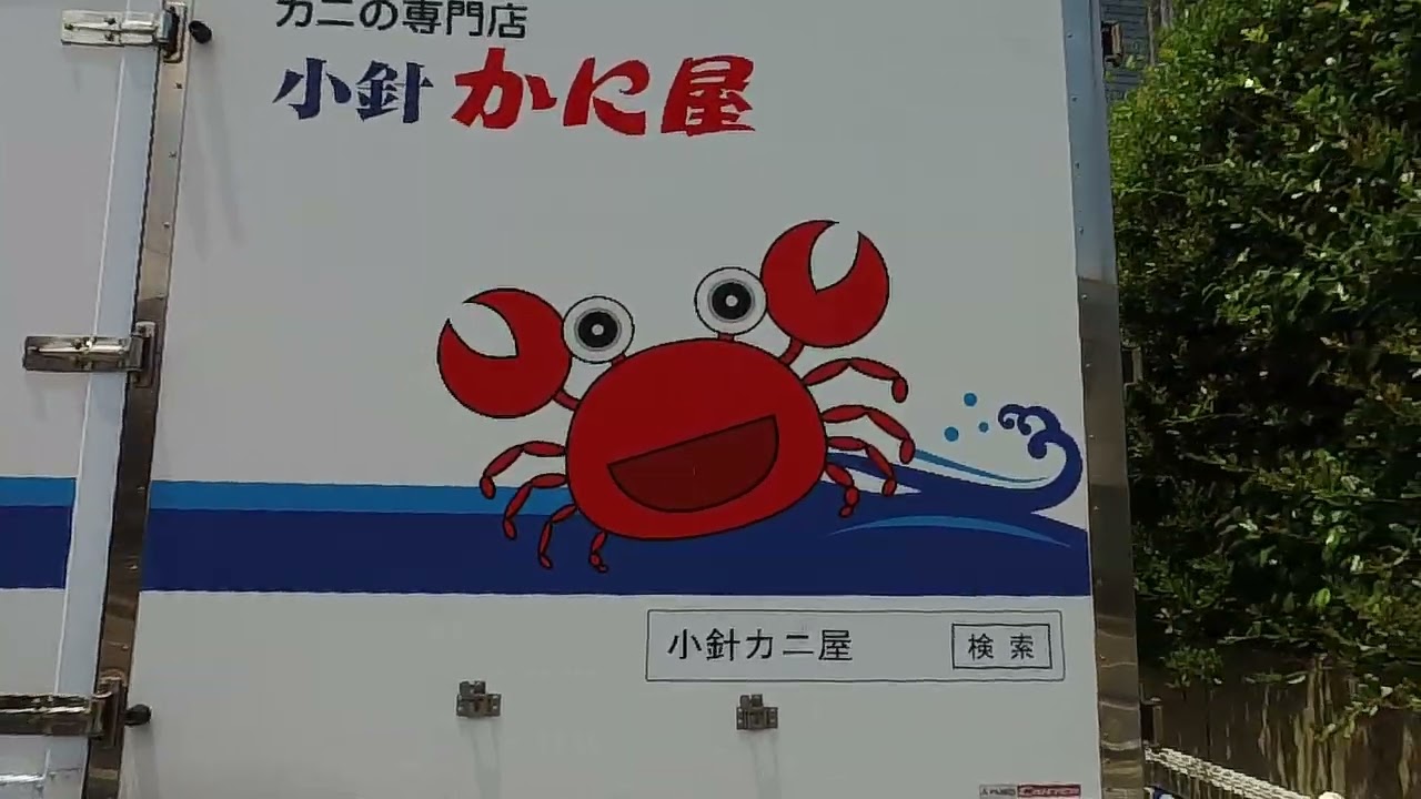 新潟県新潟市西区松美台 / 250702 ✨「砂丘列の頂から日本海を望む、静謐なる文教・住宅のテラス」