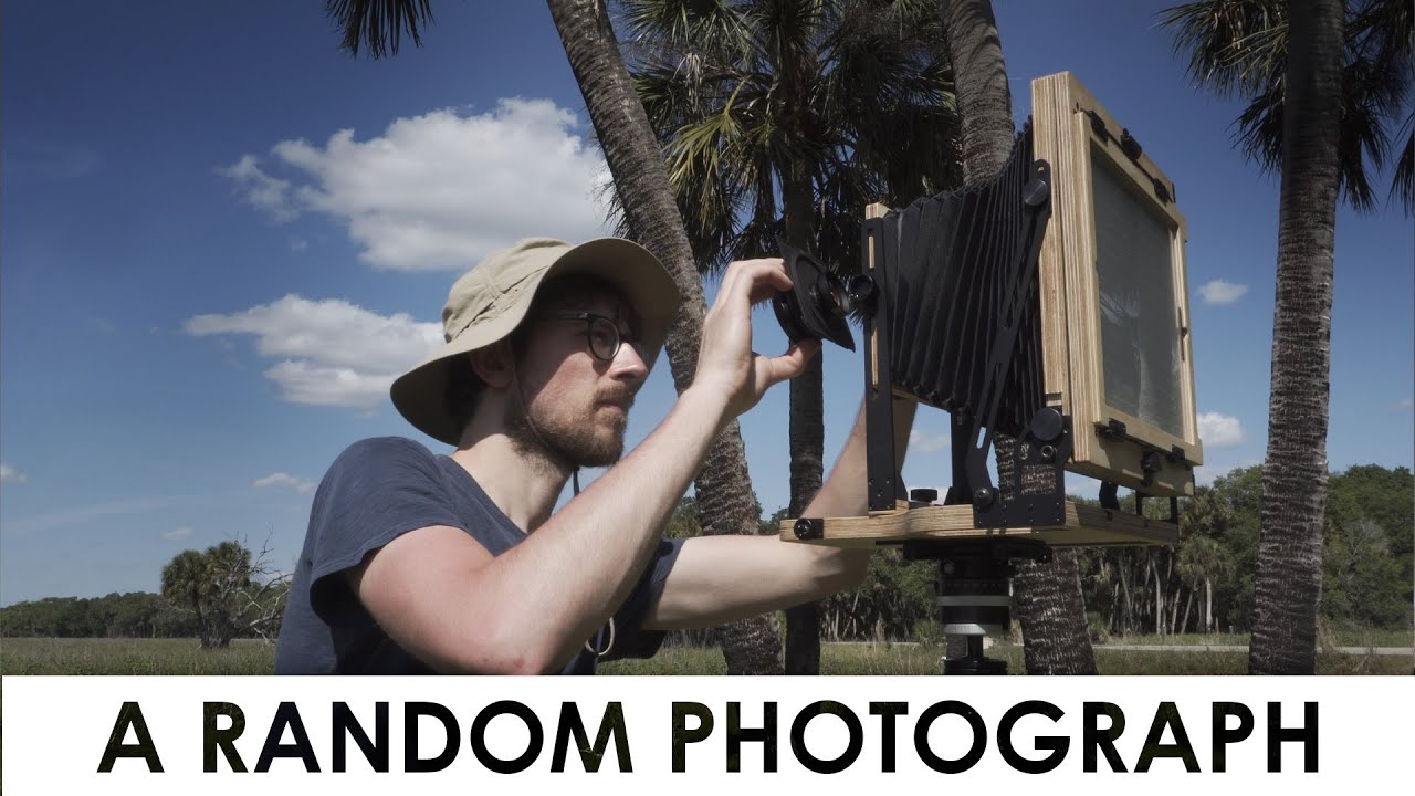 A Random Photograph in Florida | 8x10 Large Format Film Photography with the Intrepid 810