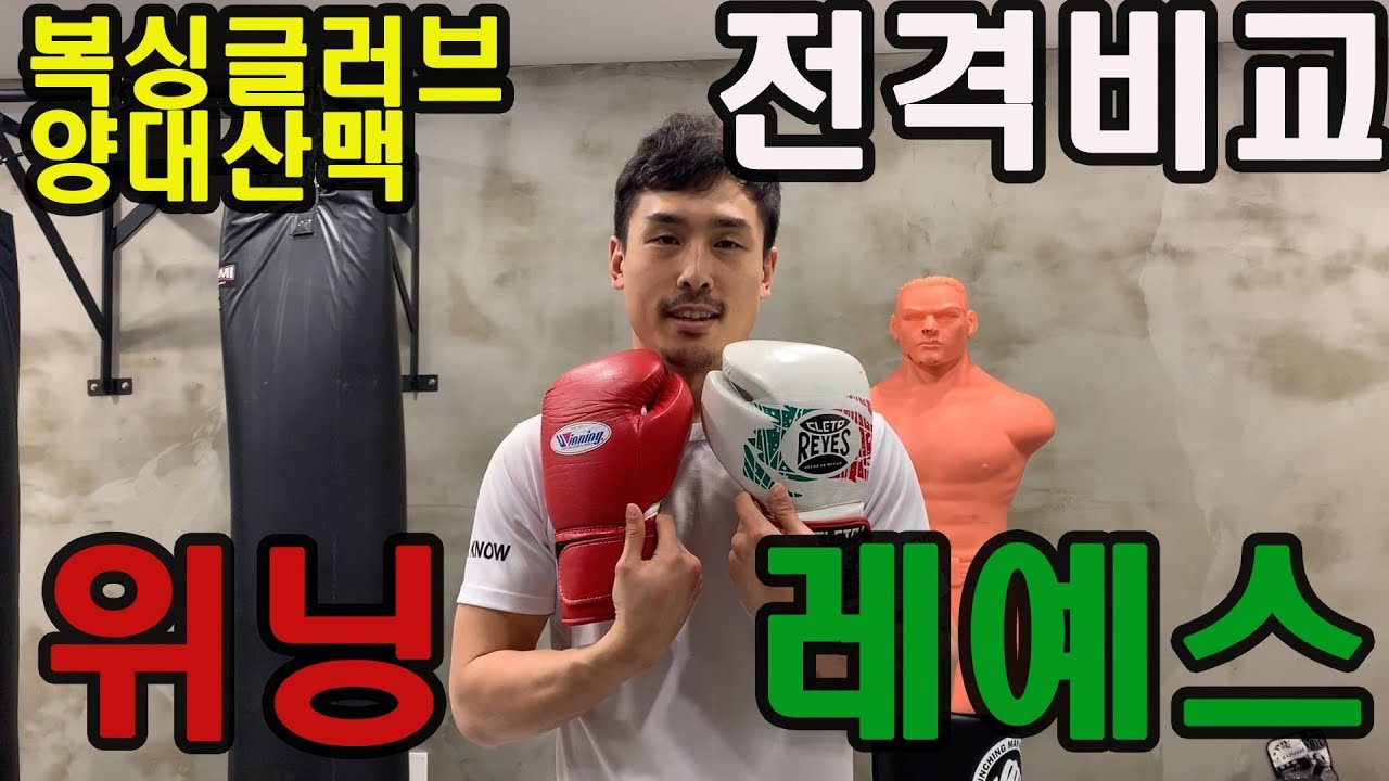 위닝VS레예스 비교영상