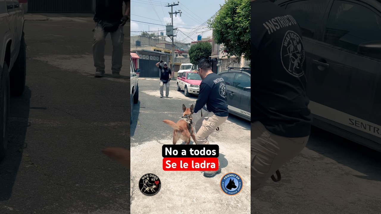 Ladra 
