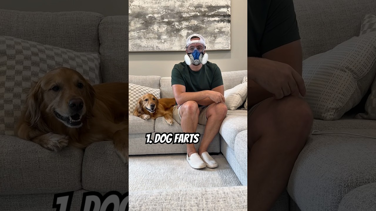 Brutal truths about owning a dog 😅