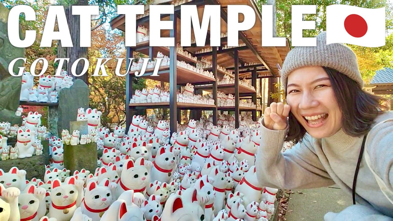 TOKYO🇯🇵 7 things to do around Gotokuji (Lucky cat temple)🐈 Autumn Leaves in Tokyo🍁 Japan travel vlog