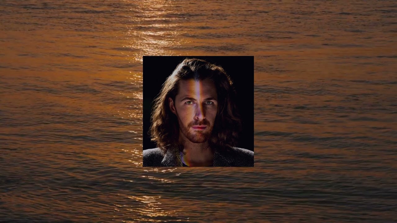 To Someone From A Warm Climate - Hozier ( Slowed + Reverb )