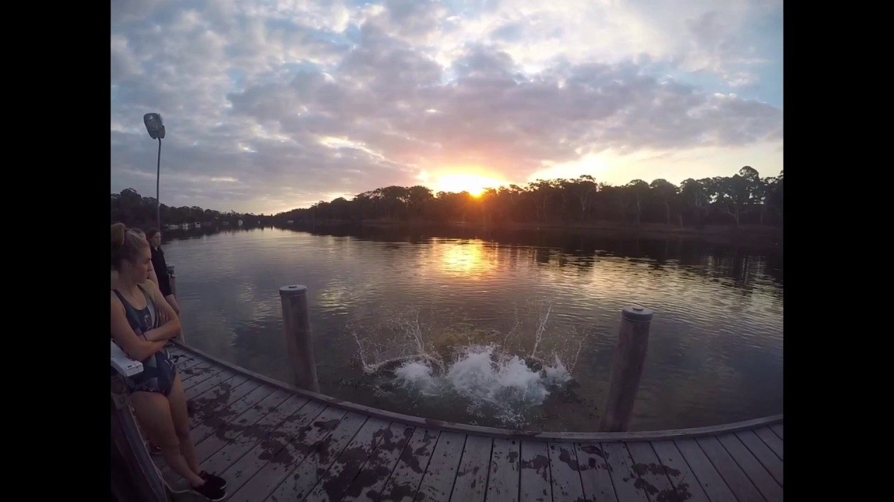 STL Camp Ibis 8V 2017