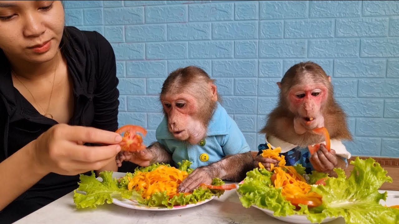 Mimi Kuku eats a hearty breakfast