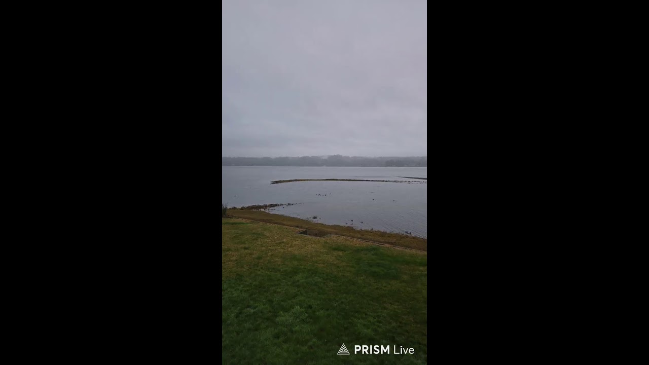 Beautiful rainy day