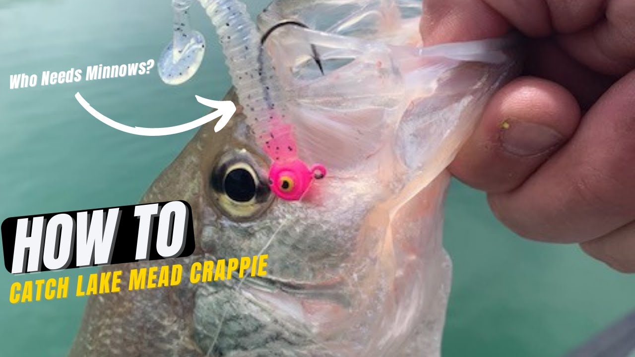 How to catch Crappie at Lake Mead