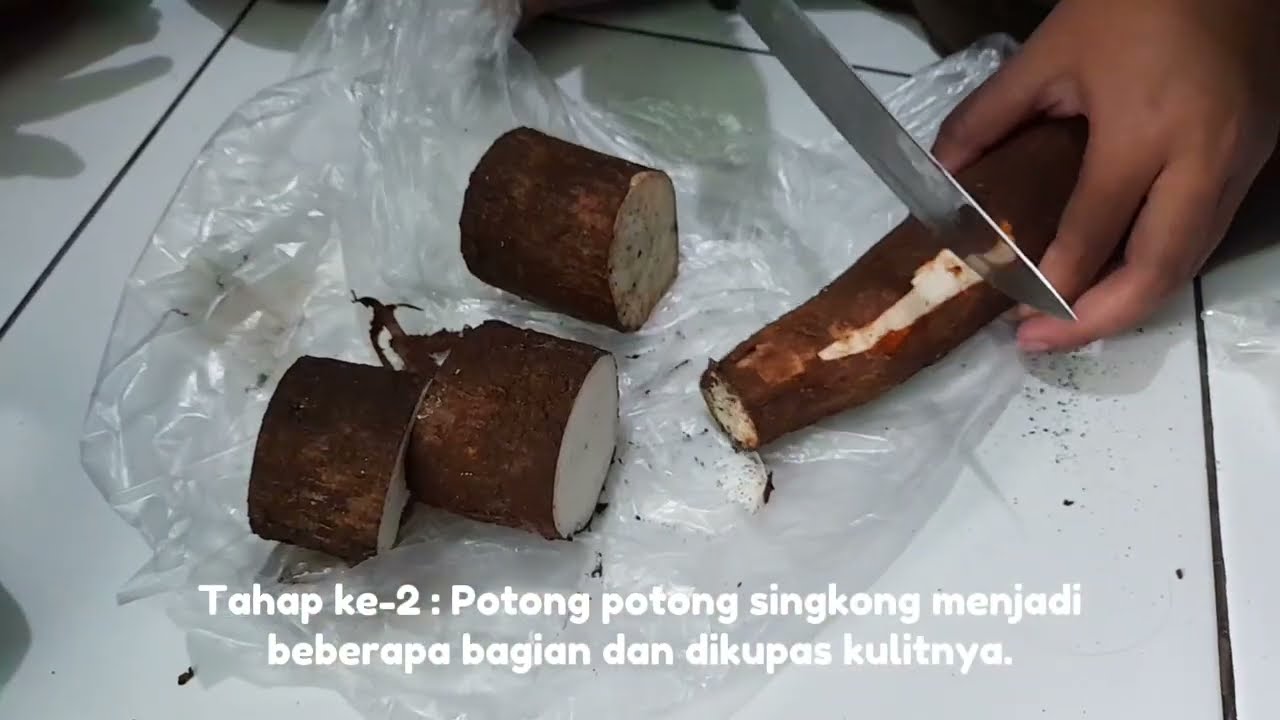 TUGAS BIOLOGI || Fermentasi Tape Singkong || Kelompok 2 - Kelas X. H