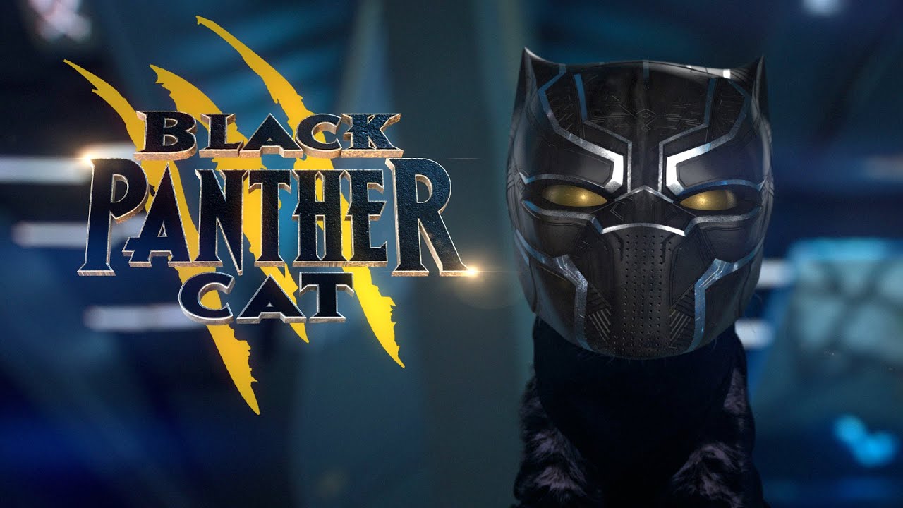 Black Panther Cat