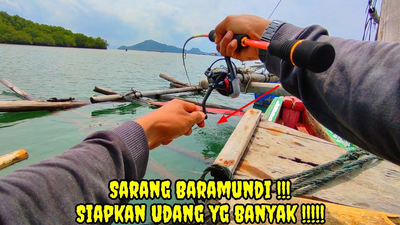 Mancing Ikan Baramundi !! Mancing Pinggiran Laut Pantai Dewi Mandapa Lampung