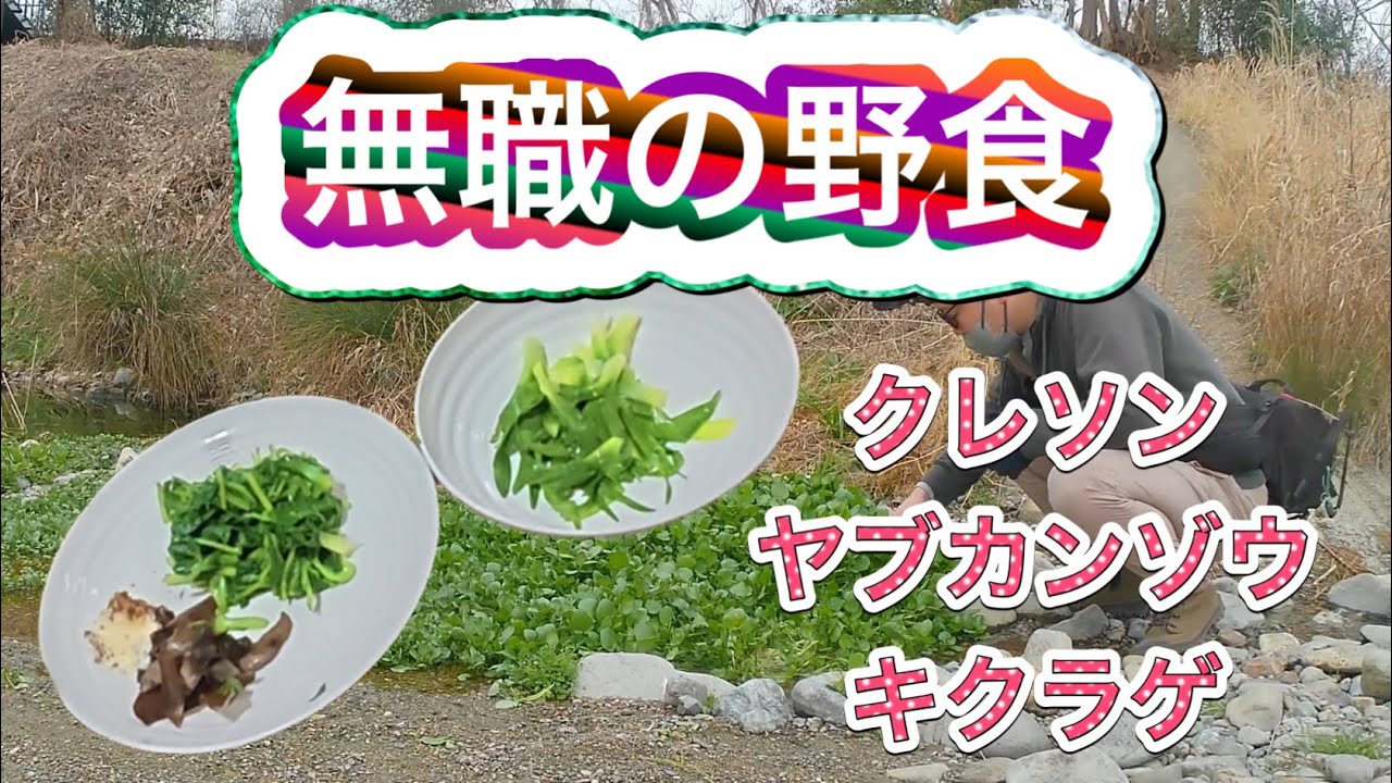 野食「クレソン」「ヤブカンゾウ」「キクラゲ」