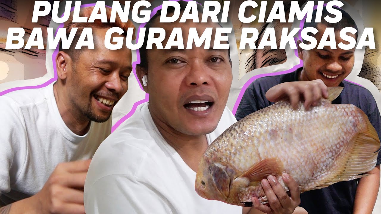 BI MIRAH KAGET LIHAT IKAN RAKSASA DARI CIAMIS