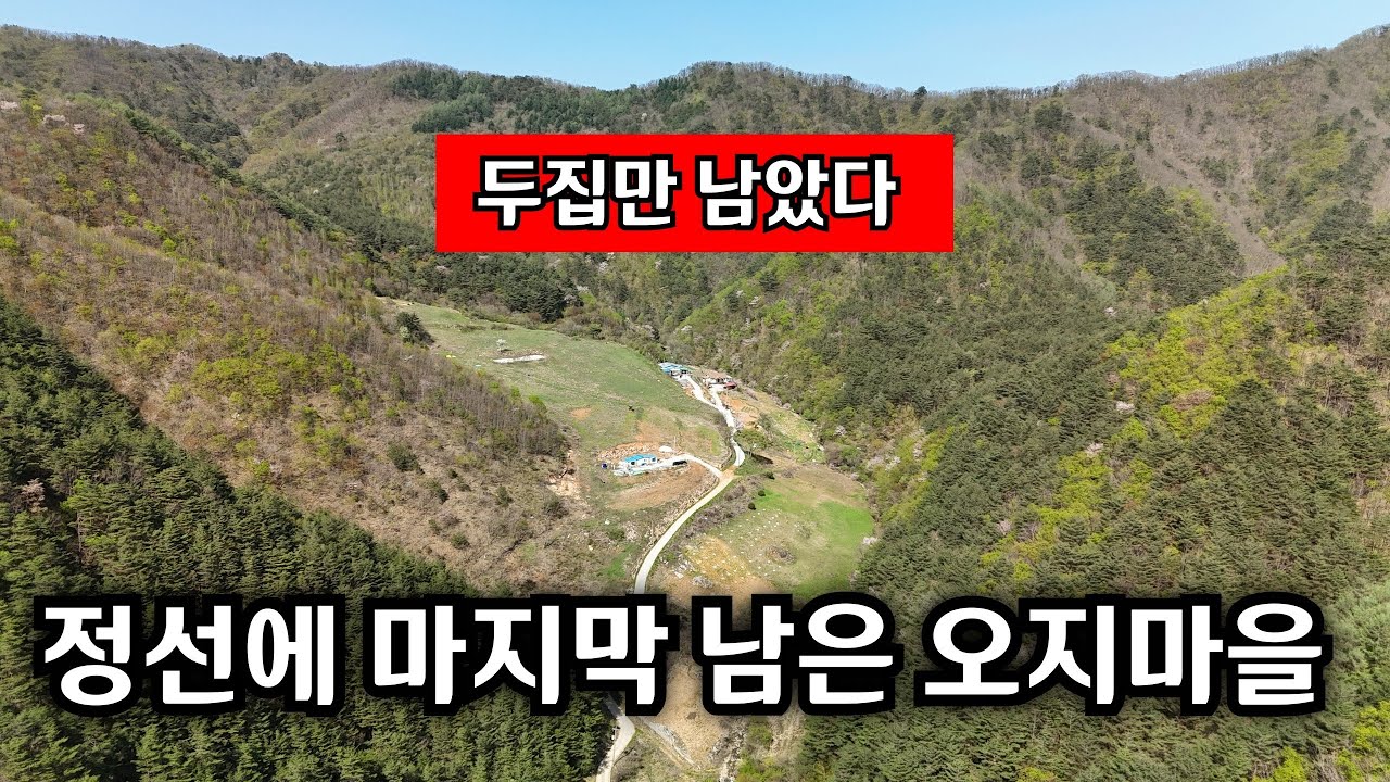 정선 에서도 마지막 남은 오지마을 산 골짜기 다 떠나고 두가구만 남았다 이곳에도 이제 봄 꽃들이 만발 했습니다