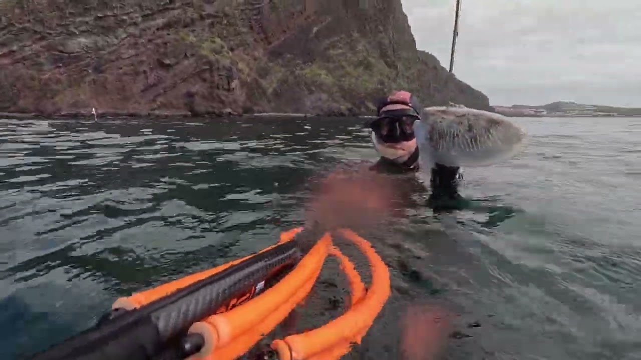 Spearfishing Machico- Madeira Island (Portugal)