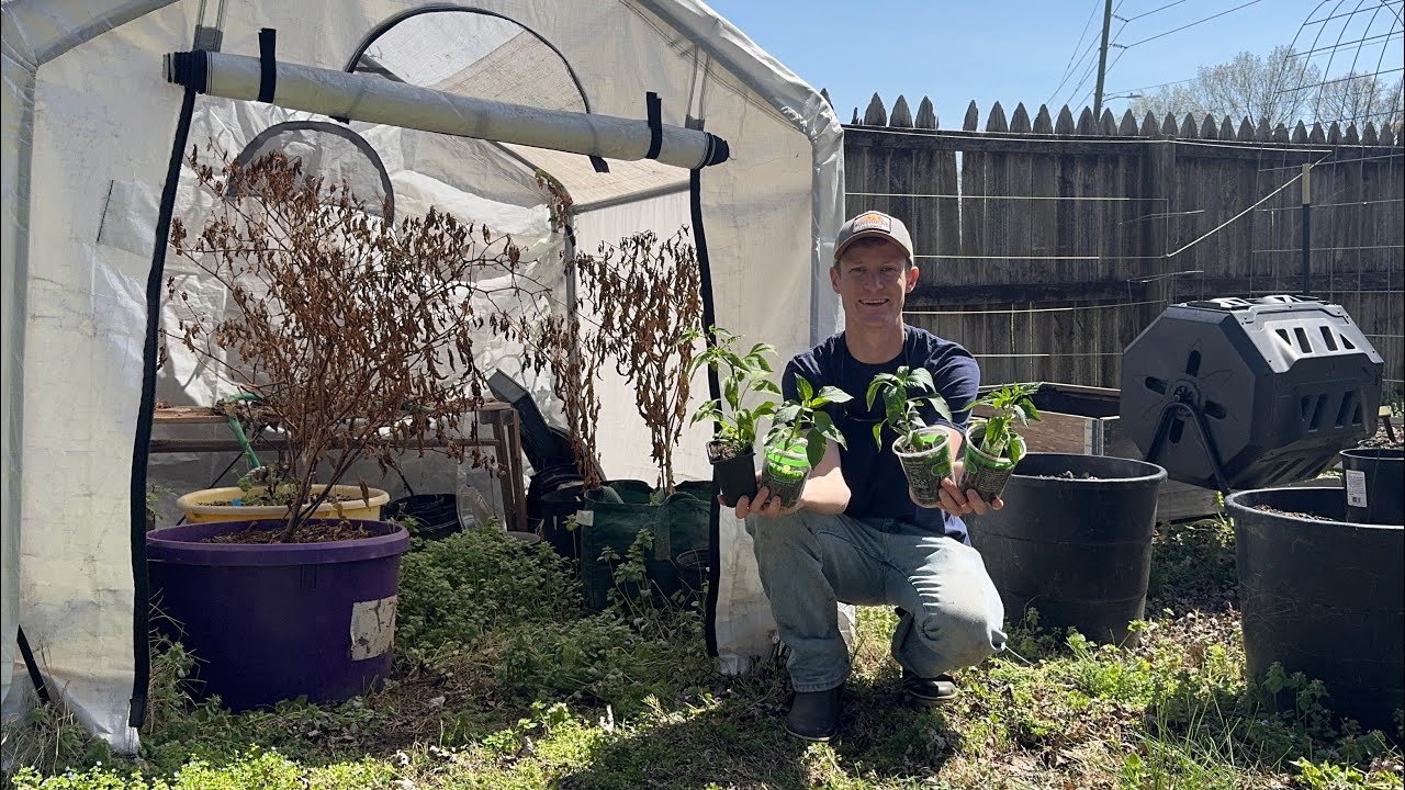 Kicking off the 2025 Pepper Season!