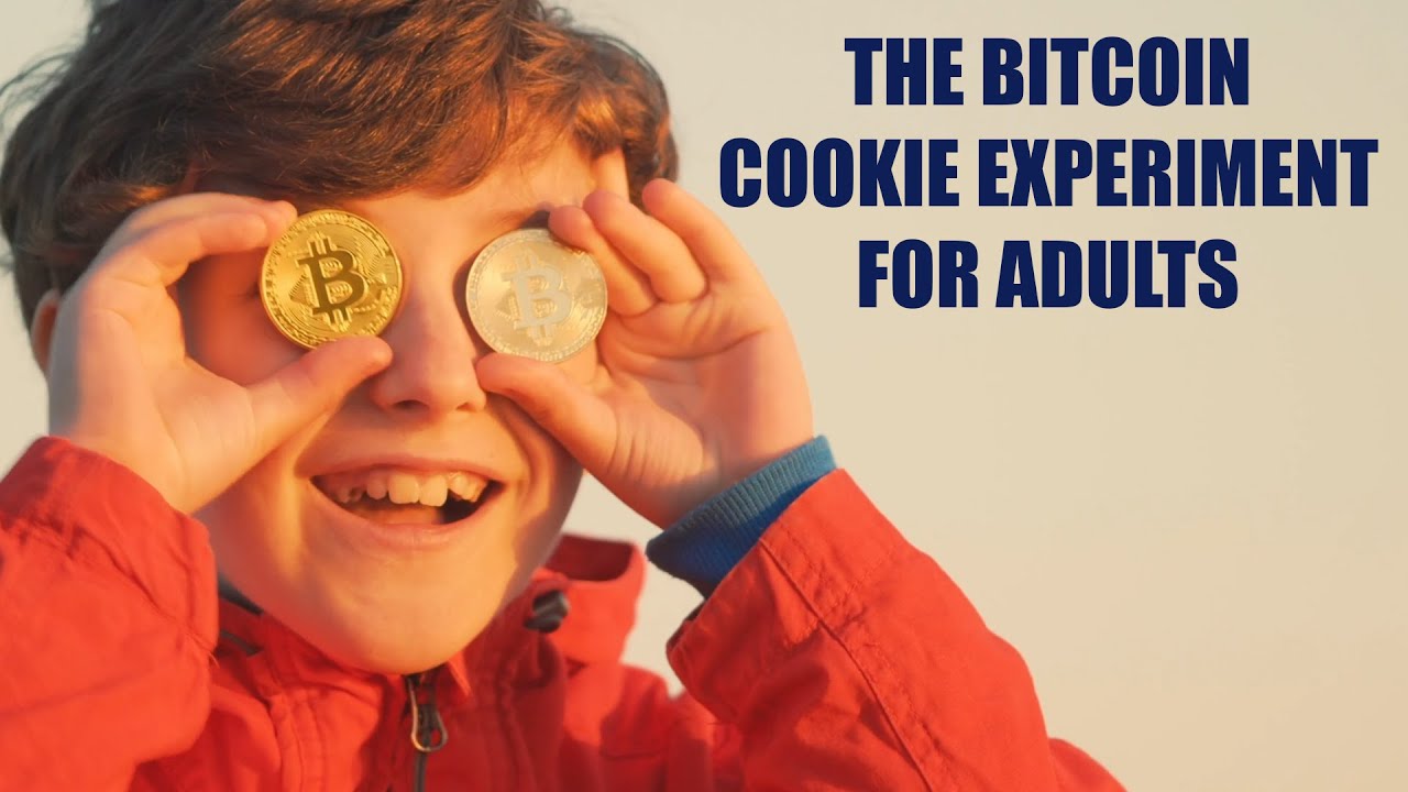 Why Bitcoin's Power Law Matters
