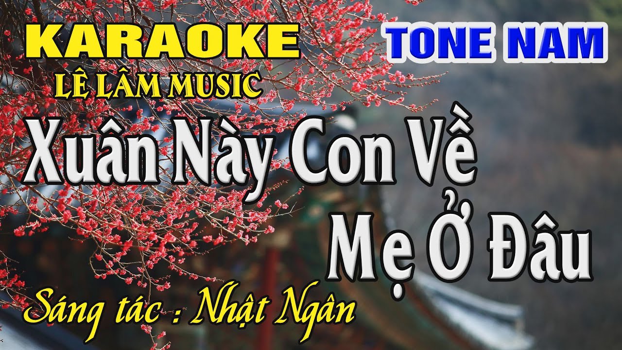 Karaoke Xuân Này Con Về Mẹ Ở Đâu Tone Nam ( C ) | Beat Mới | Karaoke Lê Lâm Music