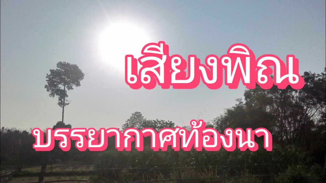 เสียงพิณ บรรยากาศท้องนา