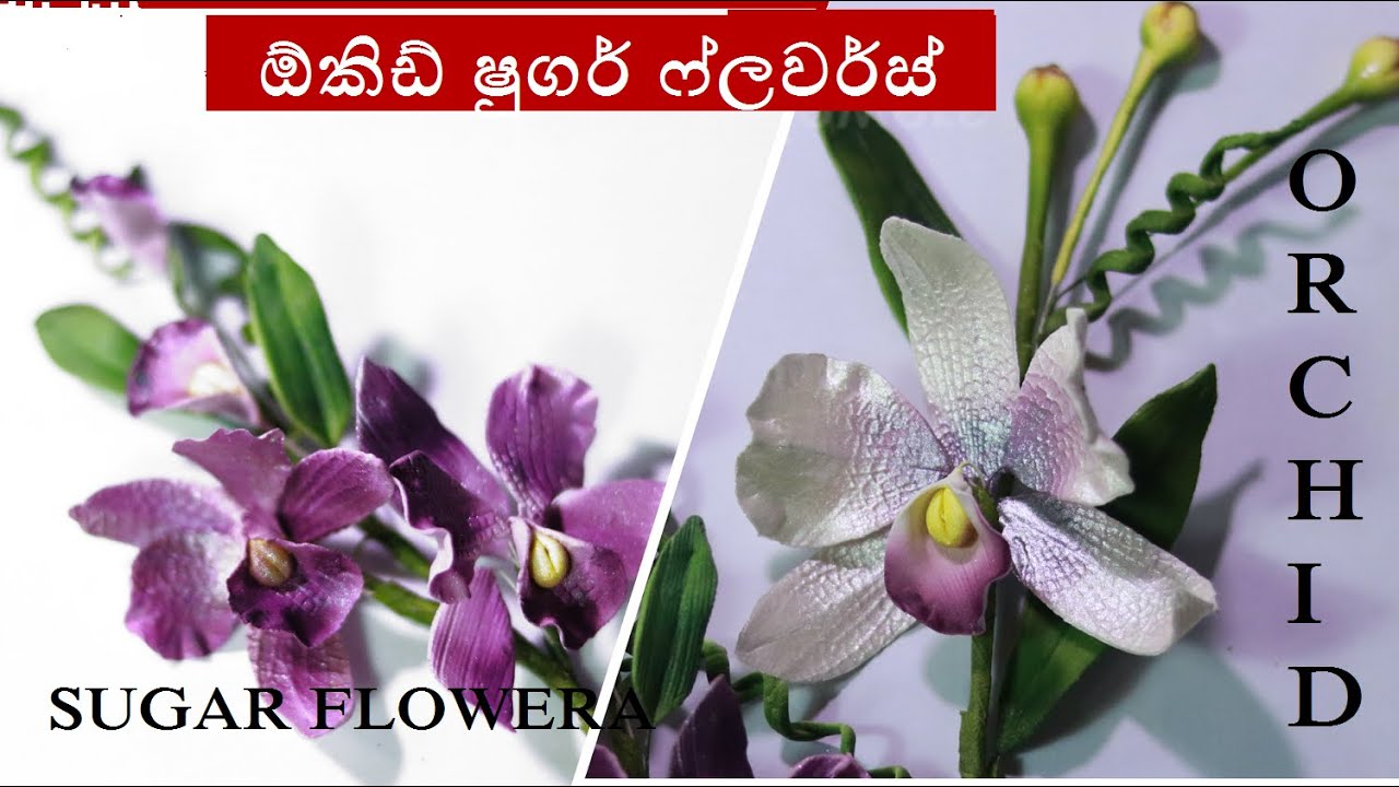 කේක් පාඩම් මාලාව-10 (ගම් පේස්ට් වලින් ඕකිඩ් මල්) Gum Paste Orchid