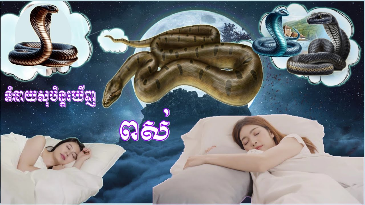 ក្បួនតម្រាទស្សន៍ទាយសុបិន្តឃើញពស់|KHMER HOROSCOPE DREAMING