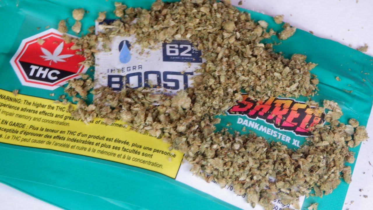 Strain Review Shred Dankmeister XL