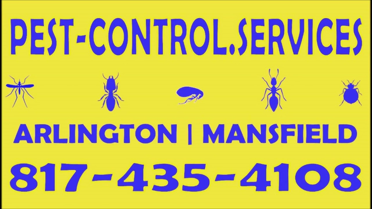 Pest Control Service Arlington TX