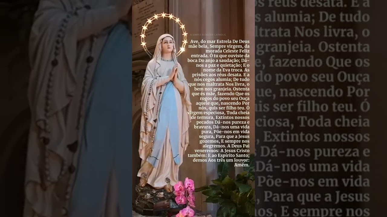 alabanzas a la sant&iacute;sima virgen mar&iacute;a #shorts#M&uacute;sicaCat&oacute;lica