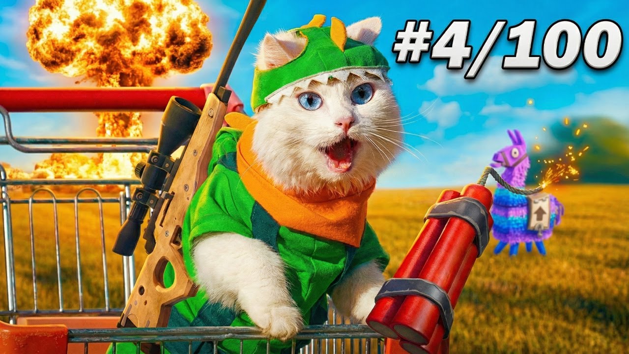 Кот в Fortnite