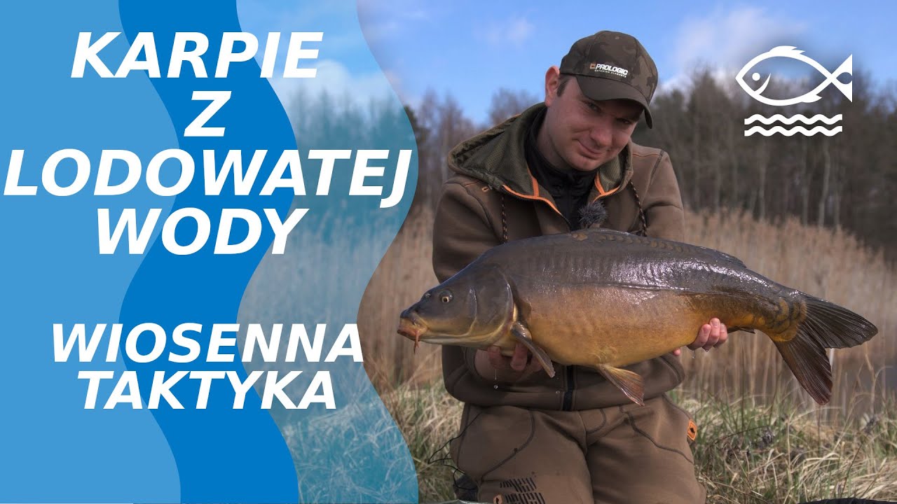 KARPIE Z LODOWATEJ WODY! WIOSENNA TAKTYKA