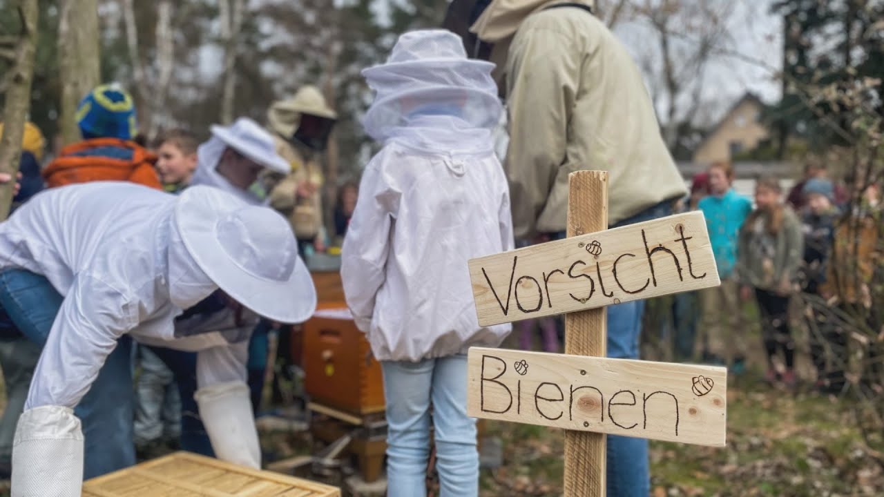 Graupas Grundschüler feiern den Tag des Waldes