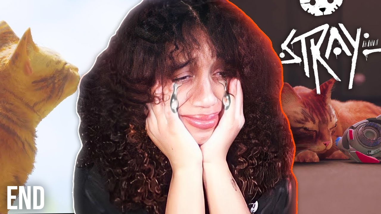 YOU'VE GOT TO BE *KITTEN* ME! | Stray - FINALE (ending/reaction)