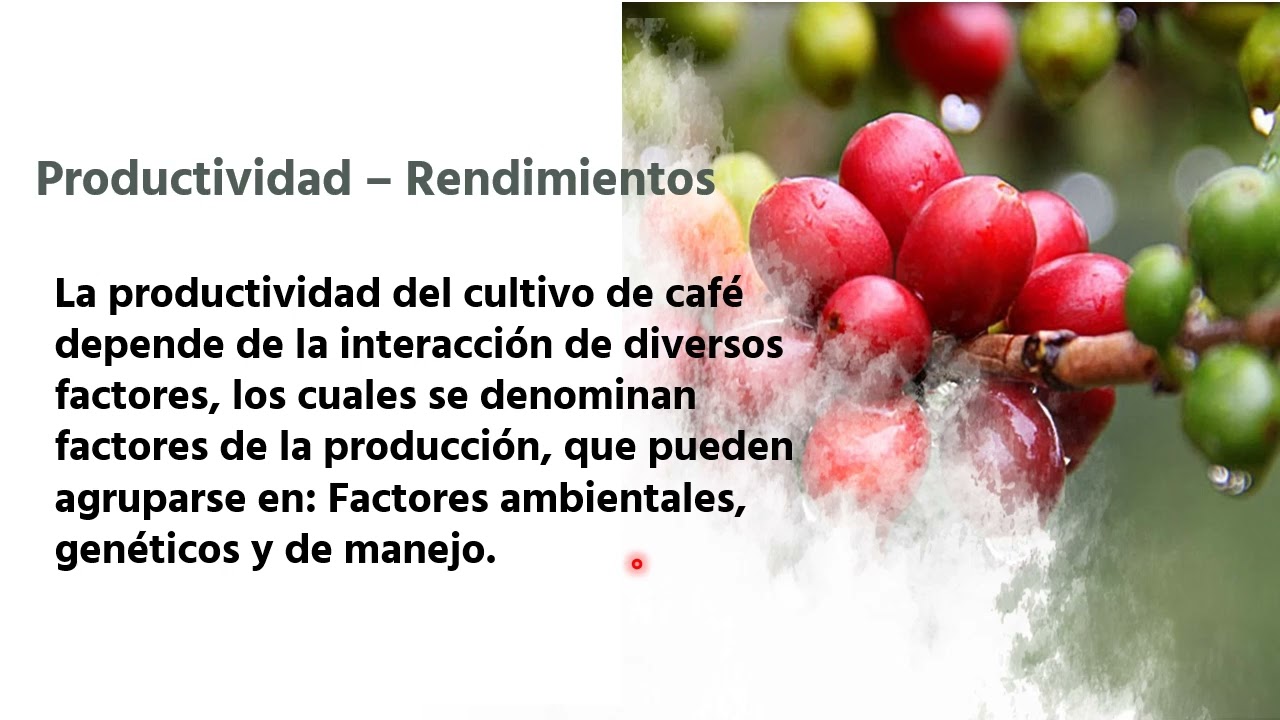 CLASE MODULO I COND AGROCLIMÁTICAS DEL CAFÉ (PARTE II)